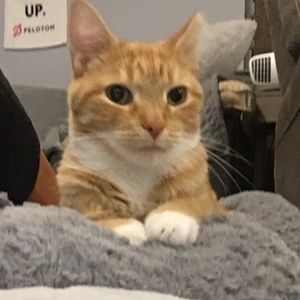 Meet your Posher, Debbie